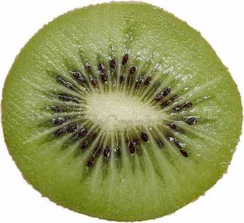 photo - kiwi-fruit-jpg